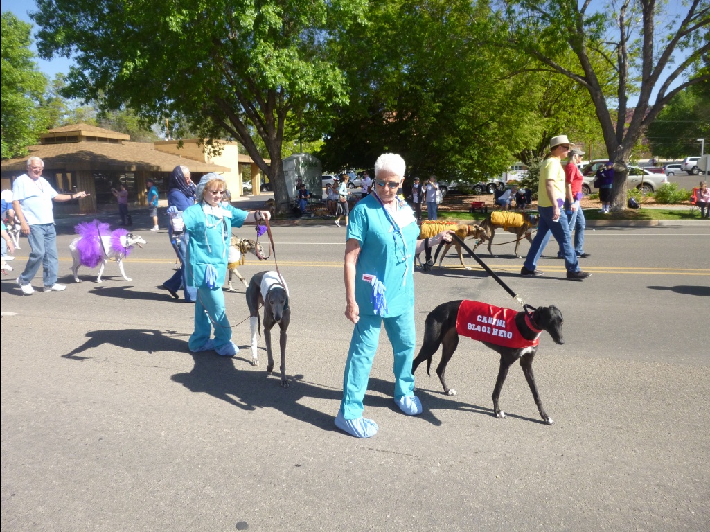 0555-Kanab_Greyhound_Parade-2014