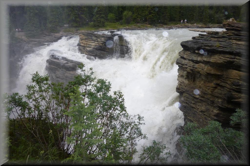 1195-Athabasca_Falls